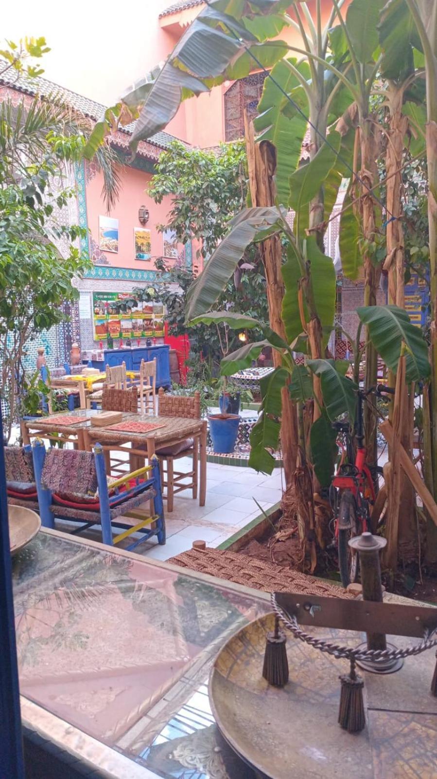 Riad Carole - Perfect For Families & Groups Marrakesh Eksteriør billede